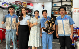 Thầy cô trường